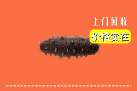 收购资讯:赣州市上犹回收海参
