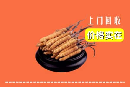 收购资讯:赣州市上犹回收冬虫夏草